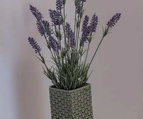 Malucri 4* 圣乔瓦尼·罗通多