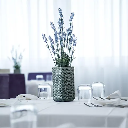 Malucri Hotel