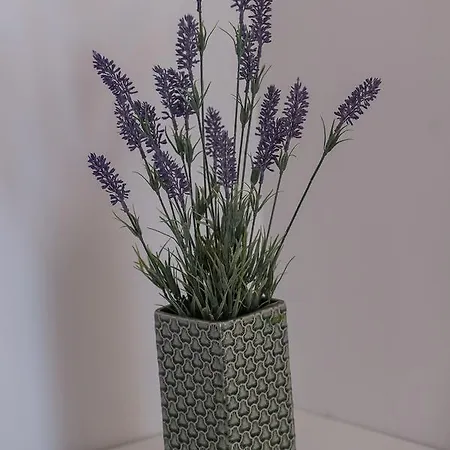 Malucri 4* San Giovanni Rotondo